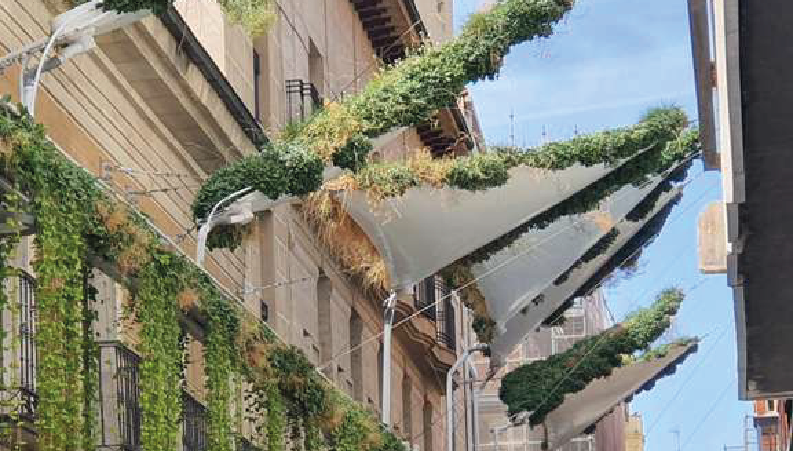 Toldos vegetales: sombra viva para espacios urbanos sostenibles