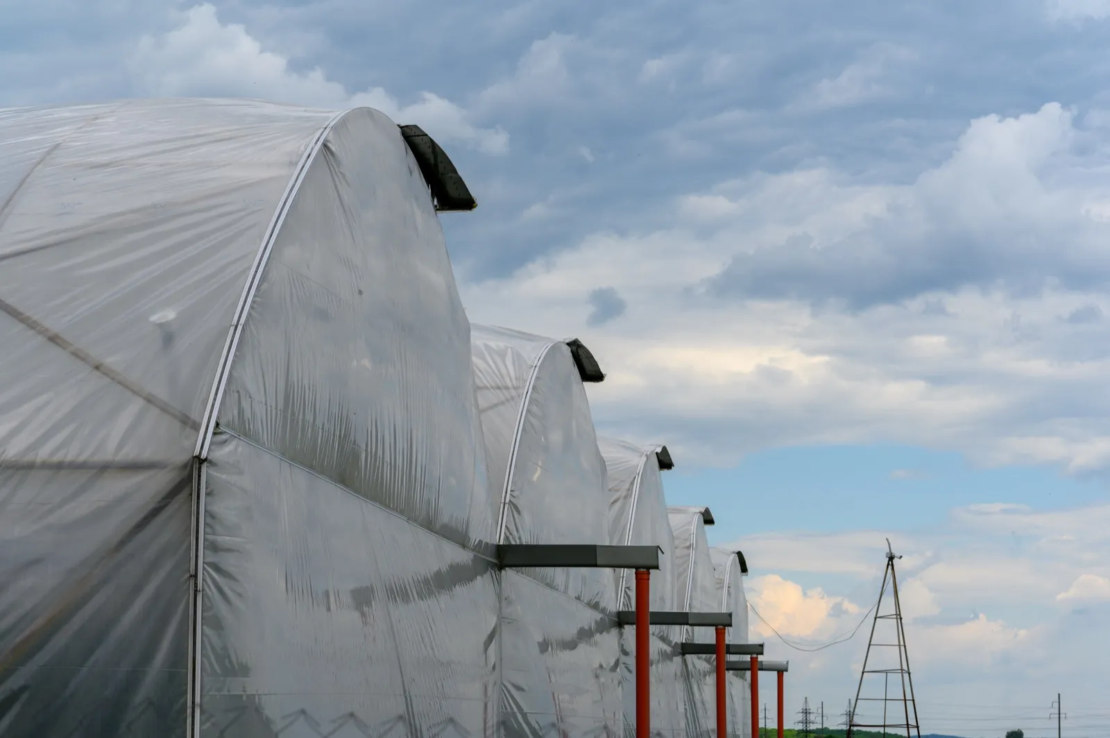 Cubierta textil de invernadero industrial para control térmico
