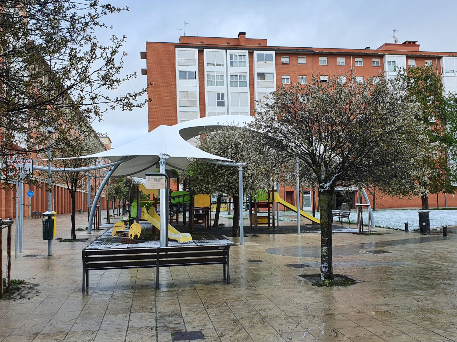 Creación de 4 Nuevos Espacios de Sombra en Pamplona — imagen 3