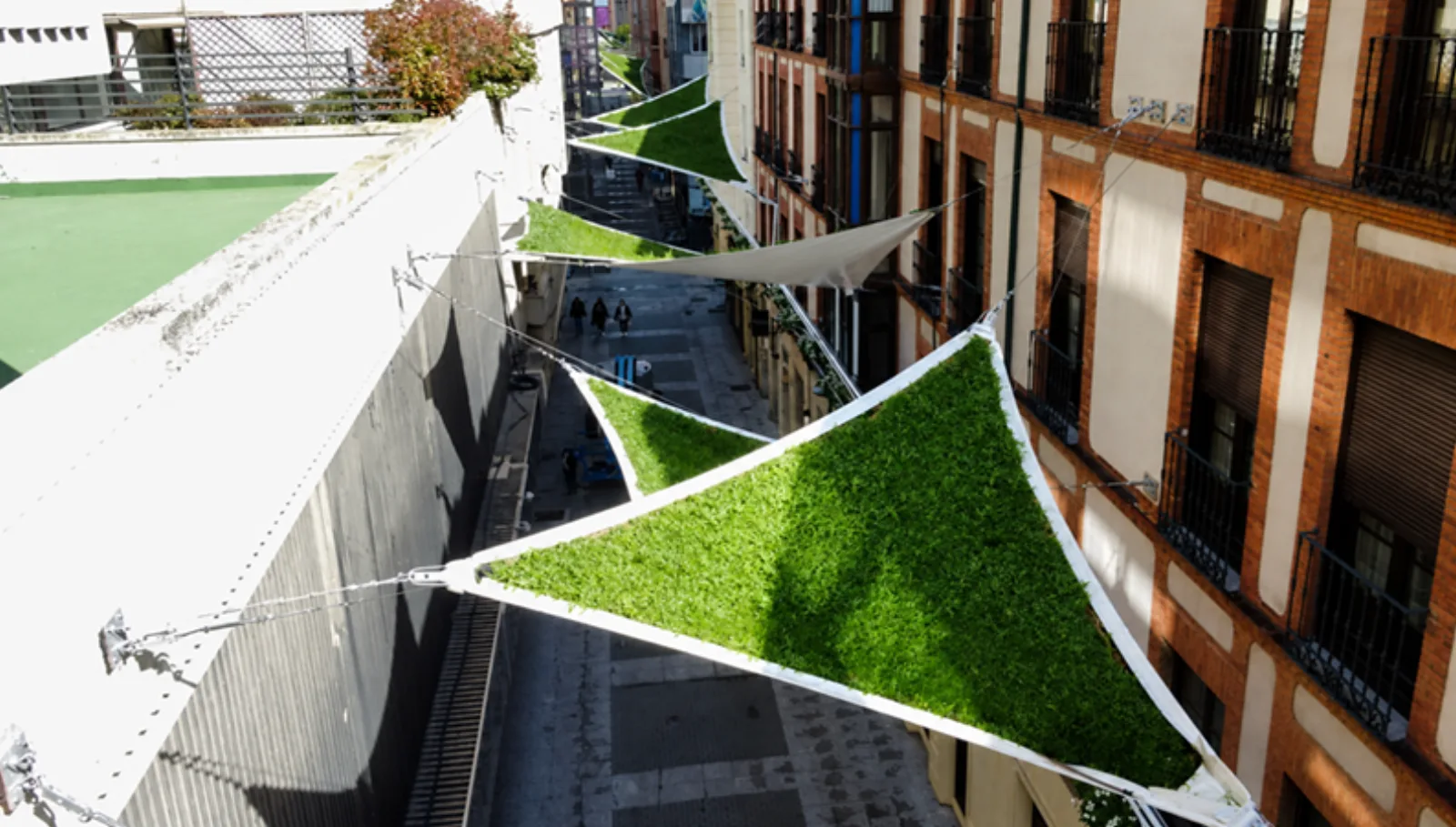 Instalación de Toldos Vegetales en Valladolid