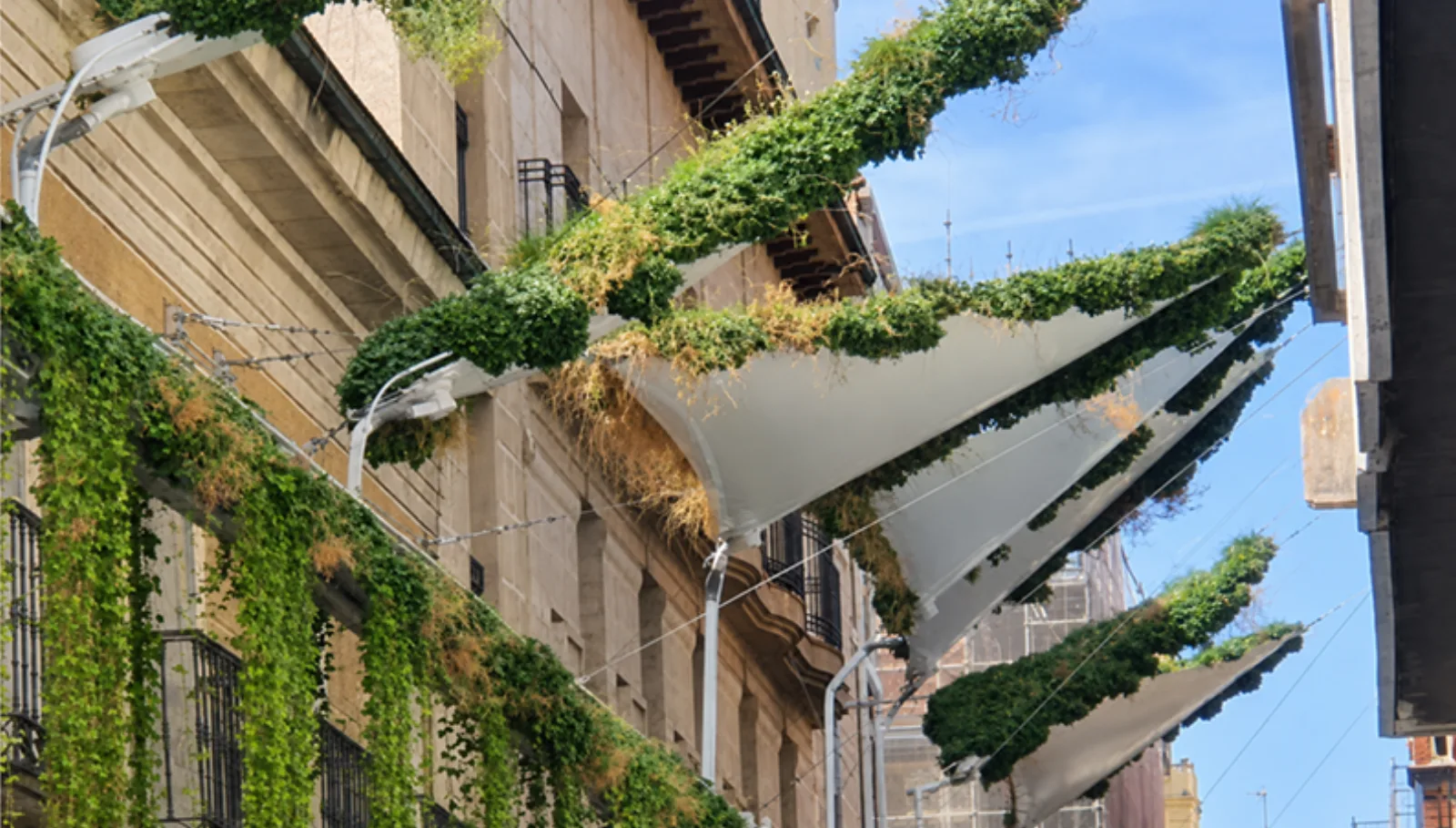 Instalación de Toldos Vegetales en Valladolid — imagen 2