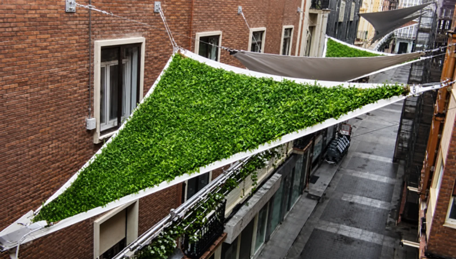 Instalación de Toldos Vegetales en Valladolid — imagen 3